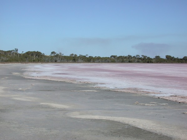 Pink Lake